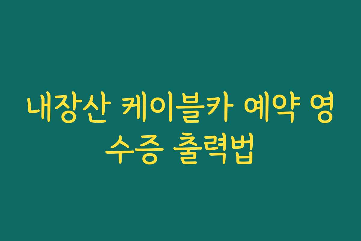내장산 케이블카 예약 영수증 출력법