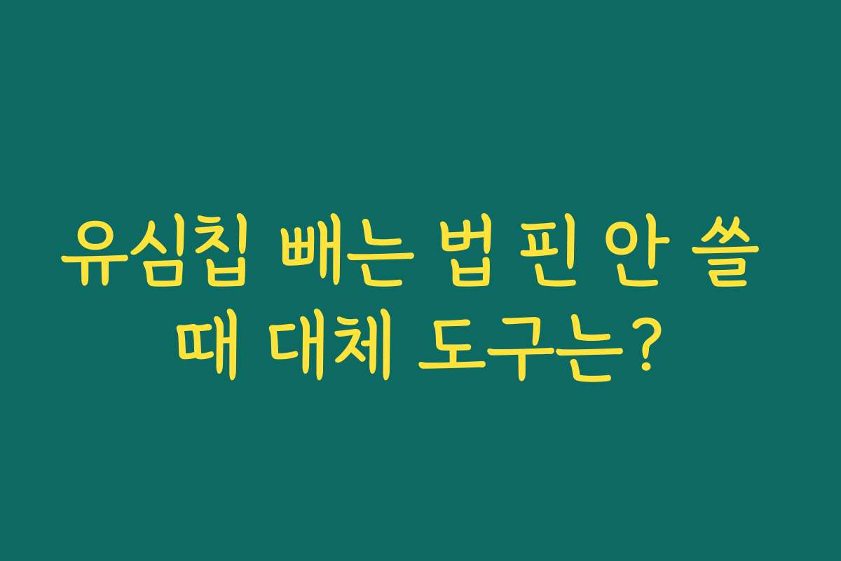 유심칩 빼는 법 핀 안 쓸 때 대체 도구는?