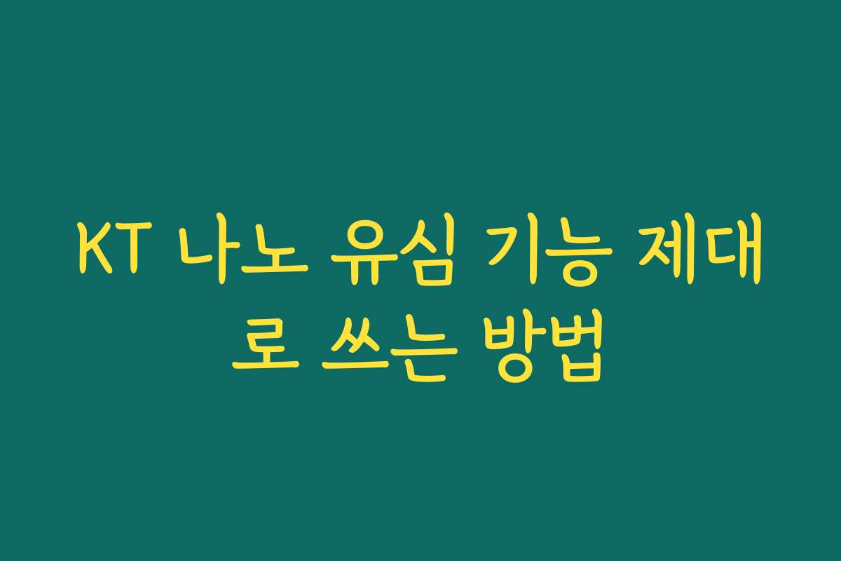 KT 나노 유심 기능 제대로 쓰는 방법