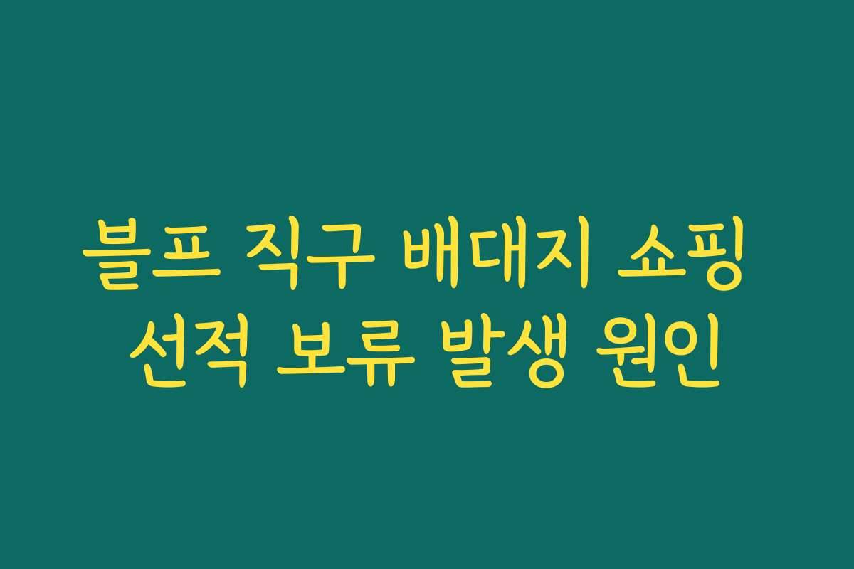 블프 직구 배대지 쇼핑 선적 보류 발생 원인