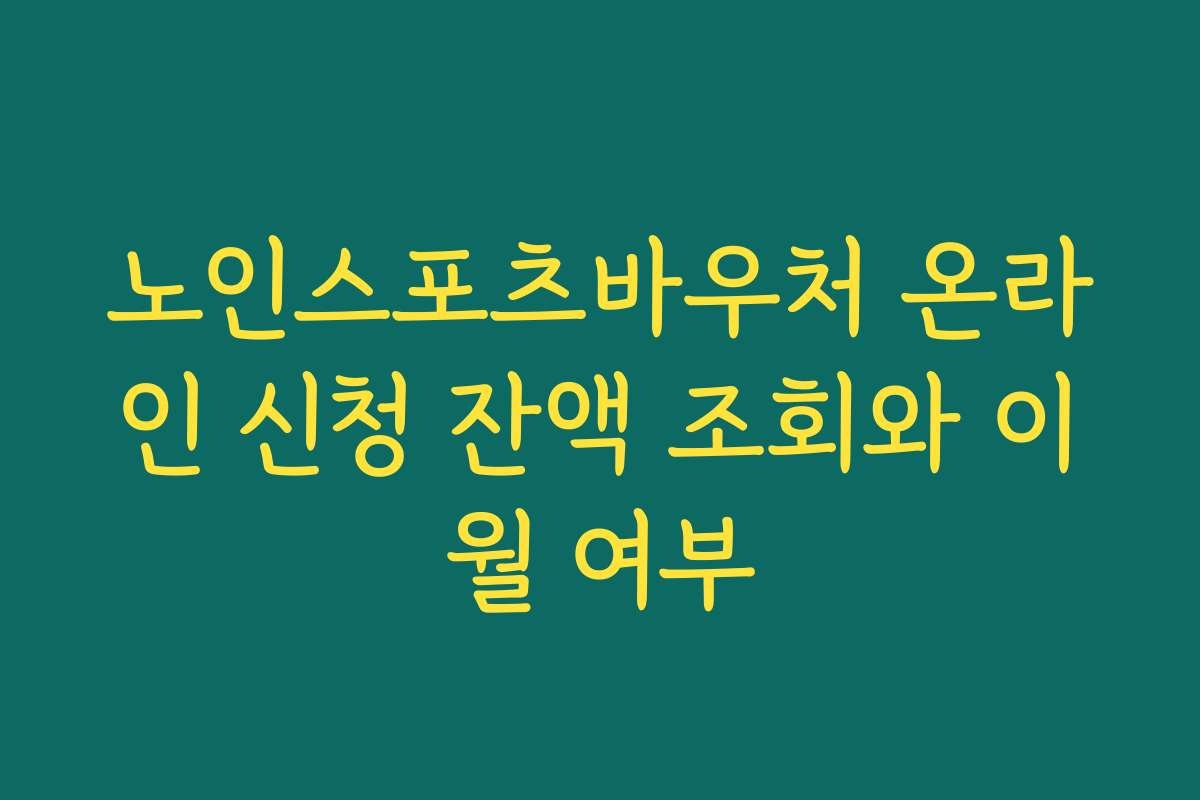 노인스포츠바우처 온라인 신청 잔액 조회와 이월 여부