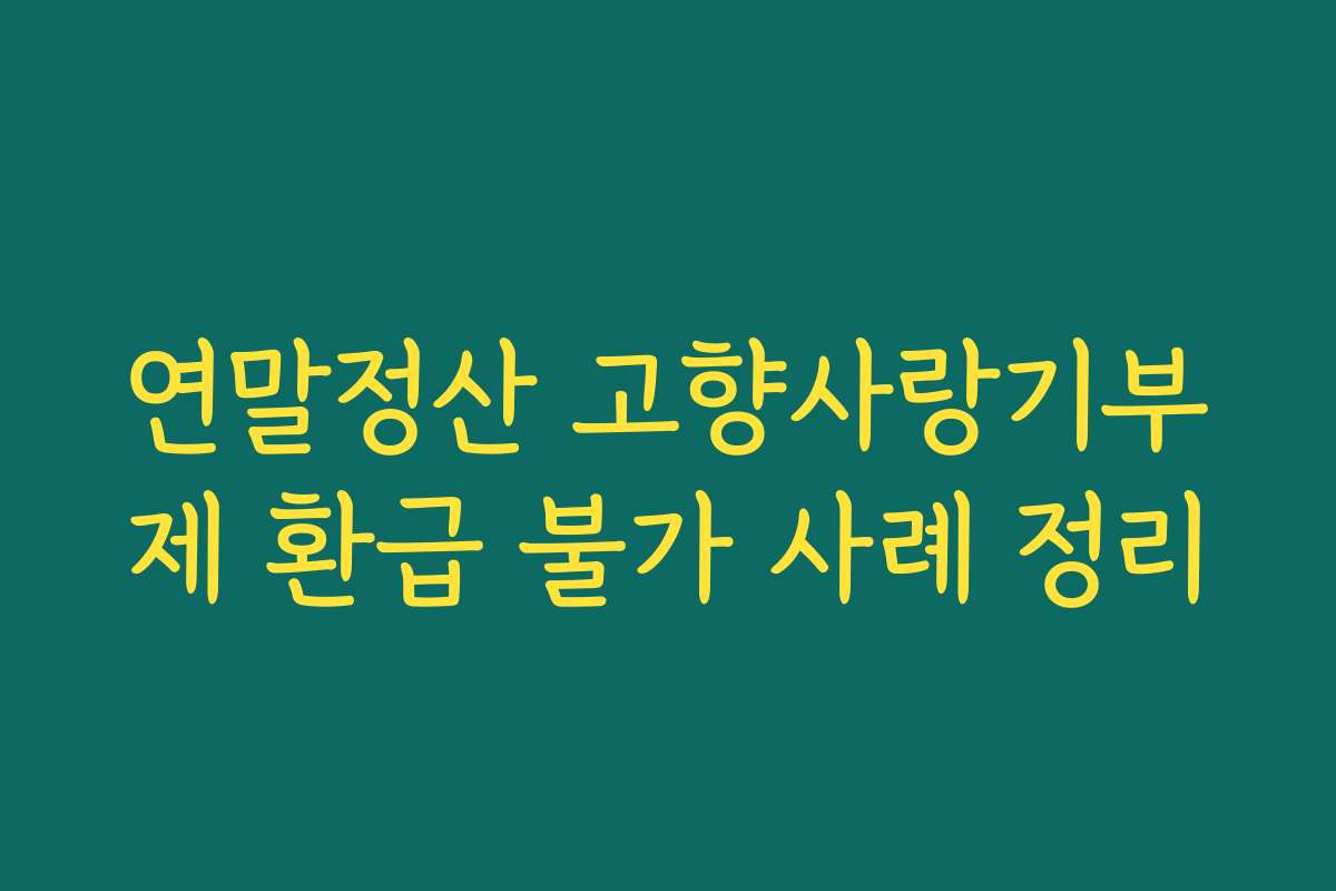 연말정산 고향사랑기부제 환급 불가 사례 정리