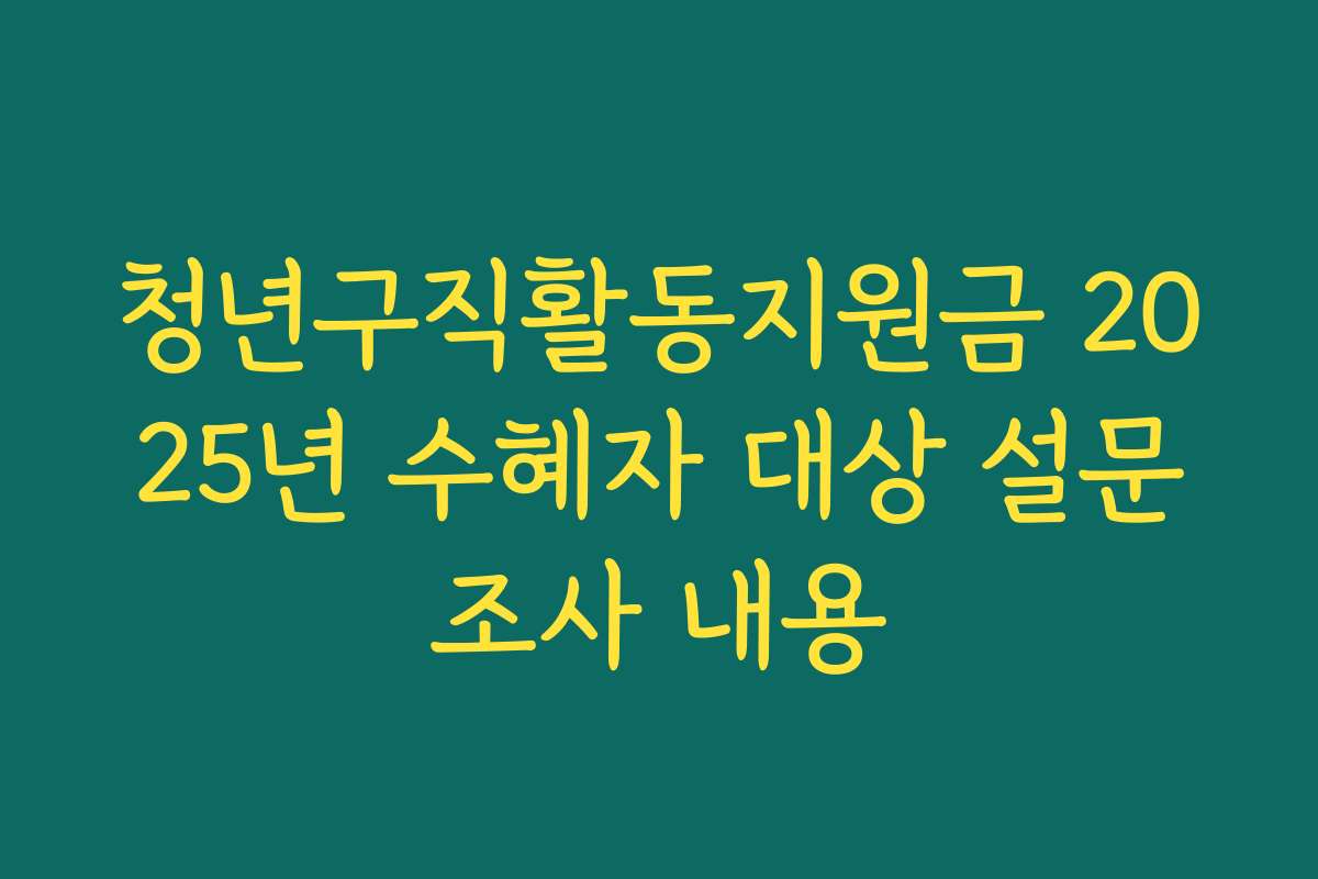 청년구직활동지원금 2025년 수혜자 대상 설문조사 내용