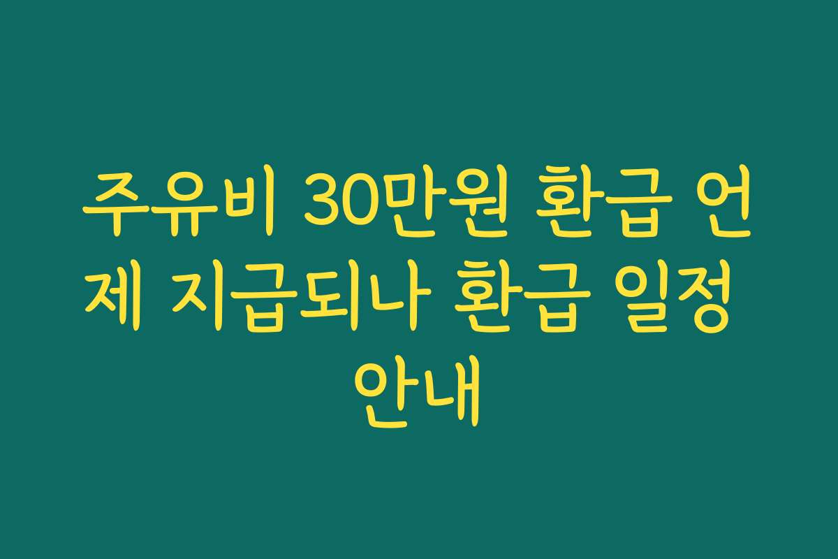 주유비 30만원 환급 언제 지급되나 환급 일정 안내