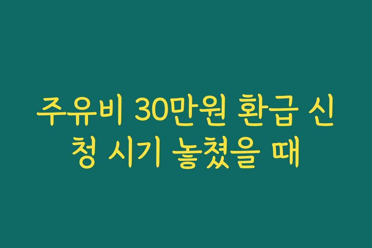 주유비 30만원 환급 신청 시기 놓쳤을 때