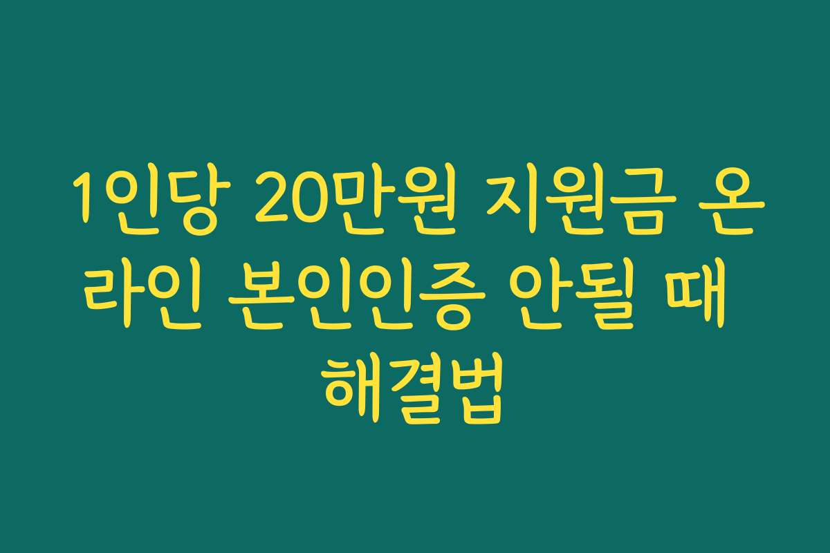 1인당 20만원 지원금 온라인 본인인증 안될 때 해결법