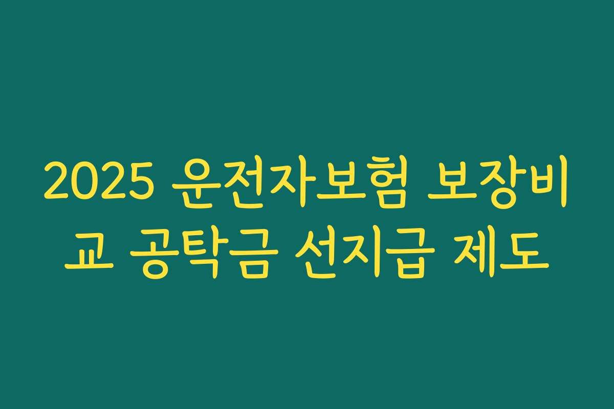 2025 운전자보험 보장비교 공탁금 선지급 제도
