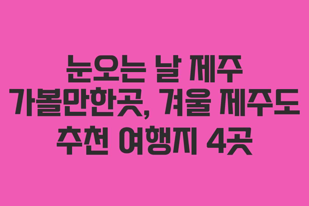 눈오는 날 제주 가볼만한곳, 겨울 제주도 추천 여행지 4곳