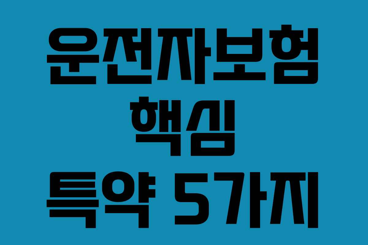 운전자보험 핵심 특약 5가지