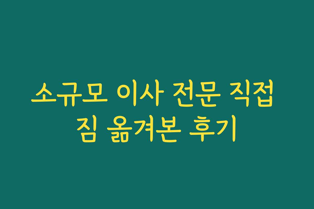 소규모 이사 전문 직접 짐 옮겨본 후기