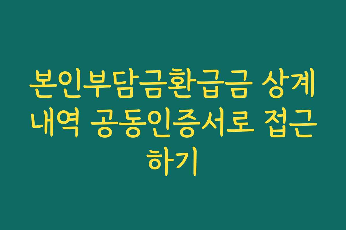 본인부담금환급금 상계내역 공동인증서로 접근하기
