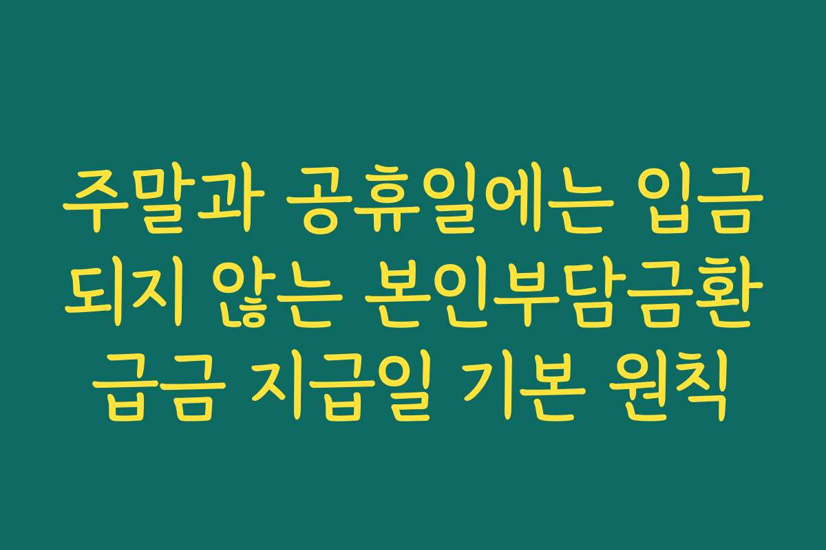 주말과 공휴일에는 입금되지 않는 본인부담금환급금 지급일 기본 원칙