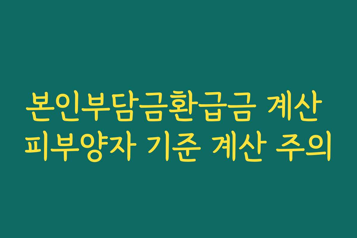 본인부담금환급금 계산 피부양자 기준 계산 주의