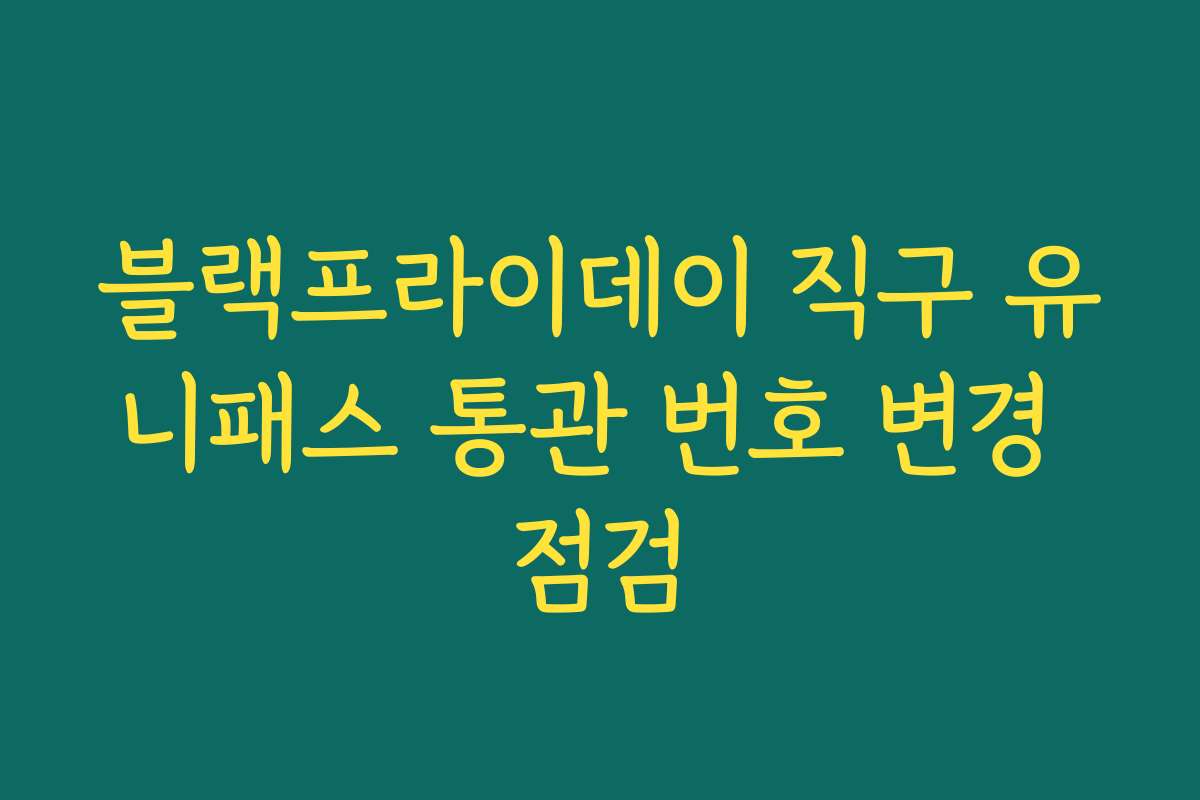 블랙프라이데이 직구 유니패스 통관 번호 변경 점검