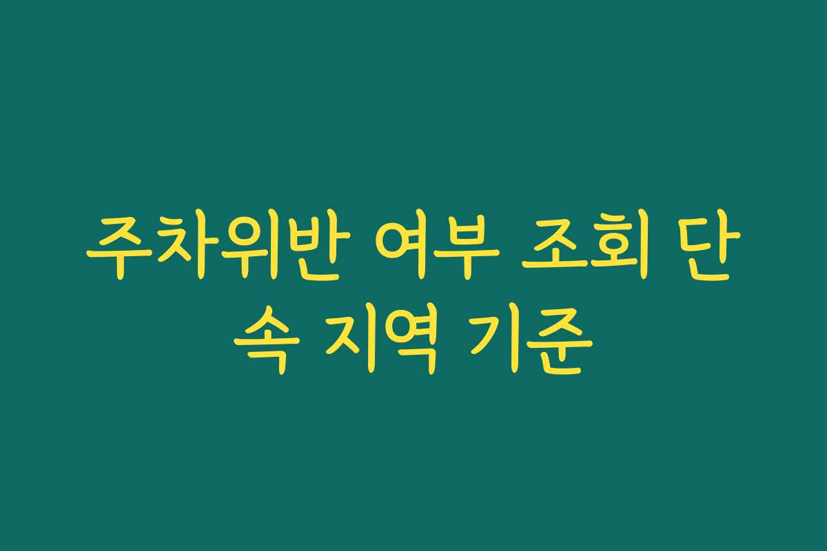 주차위반 여부 조회 단속 지역 기준