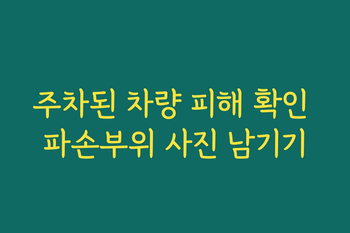 주차된 차량 피해 확인 파손부위 사진 남기기