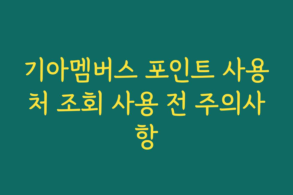 기아멤버스 포인트 사용처 조회 사용 전 주의사항