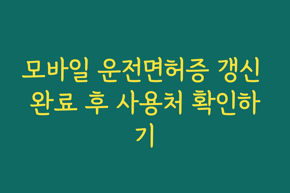 모바일 운전면허증 갱신 완료 후 사용처 확인하기