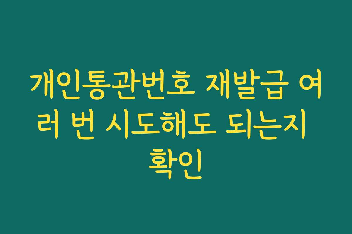 개인통관번호 재발급 여러 번 시도해도 되는지 확인