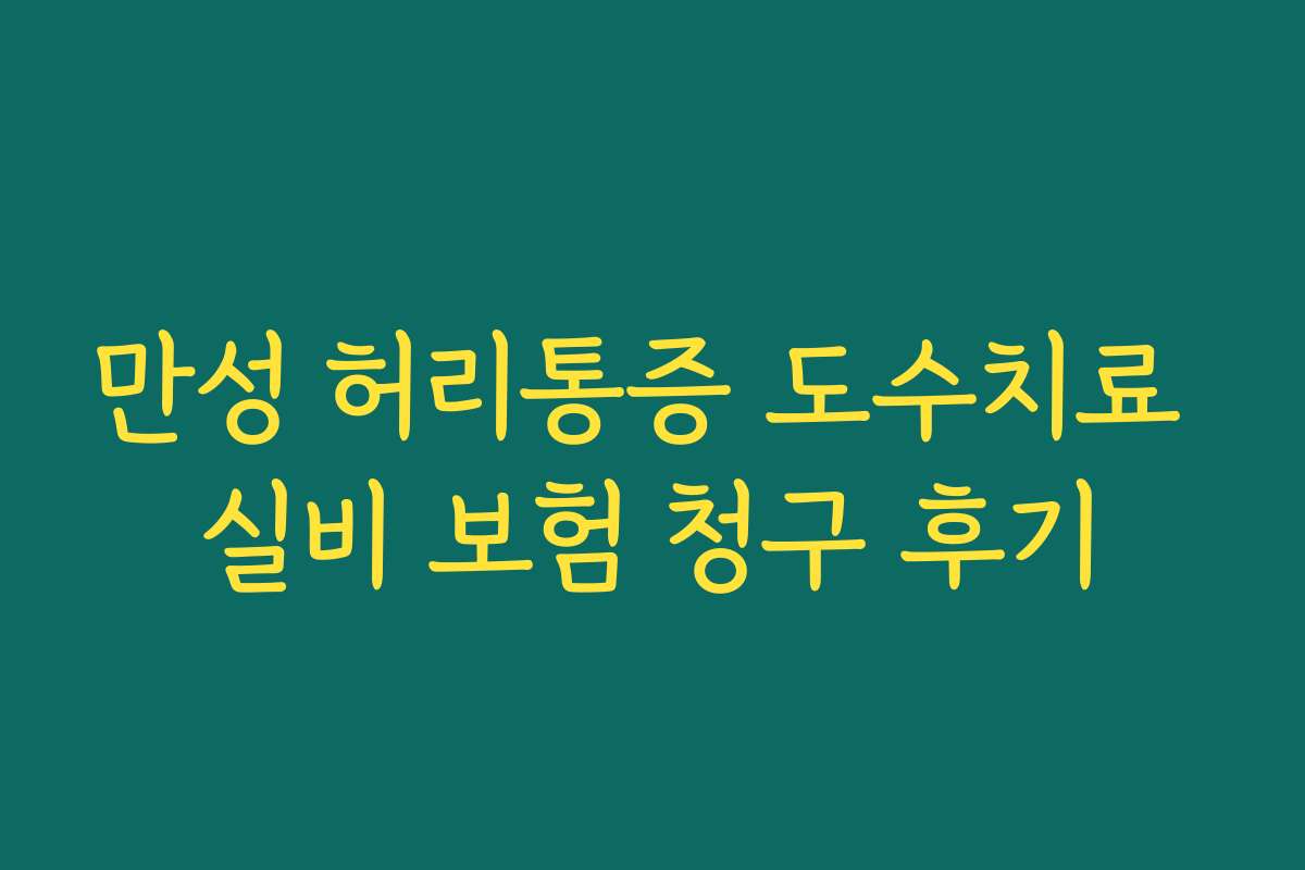 만성 허리통증 도수치료 실비 보험 청구 후기
