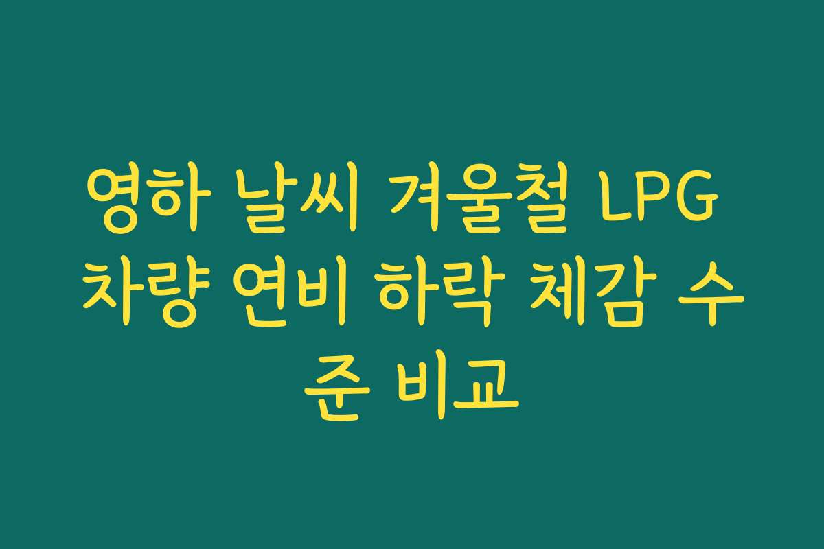 영하 날씨 겨울철 LPG 차량 연비 하락 체감 수준 비교