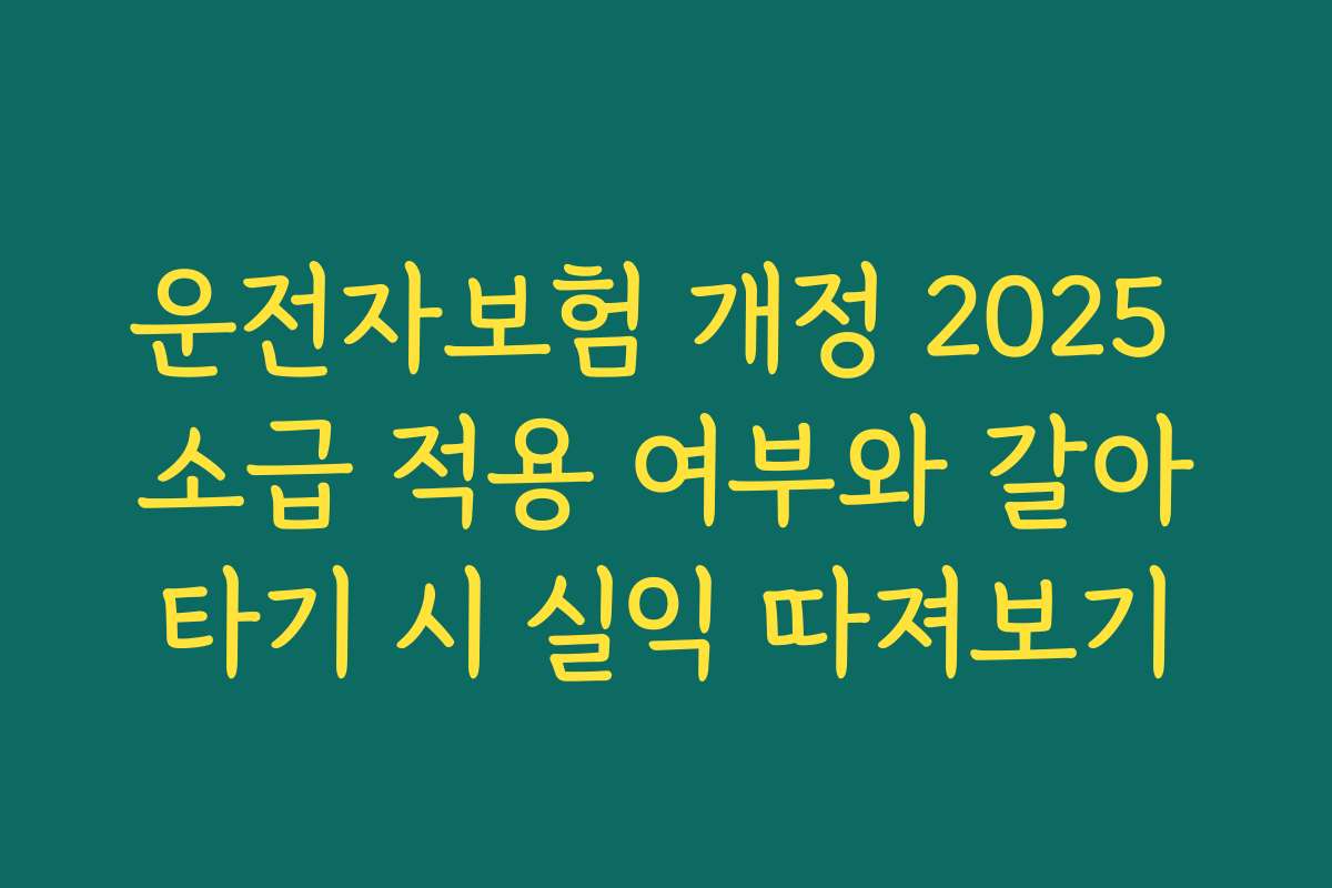 운전자보험 개정 2025 소급 적용 여부와 갈아타기 시 실익 따져보기