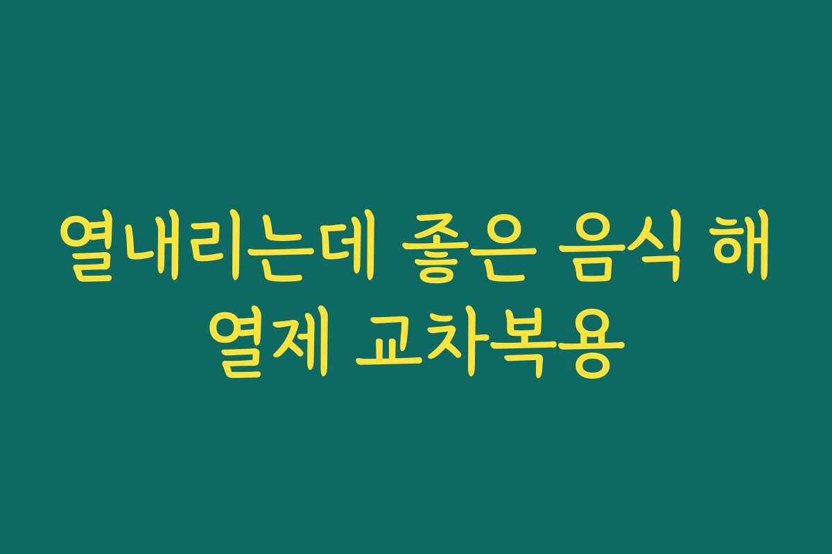 열내리는데 좋은 음식 해열제 교차복용
