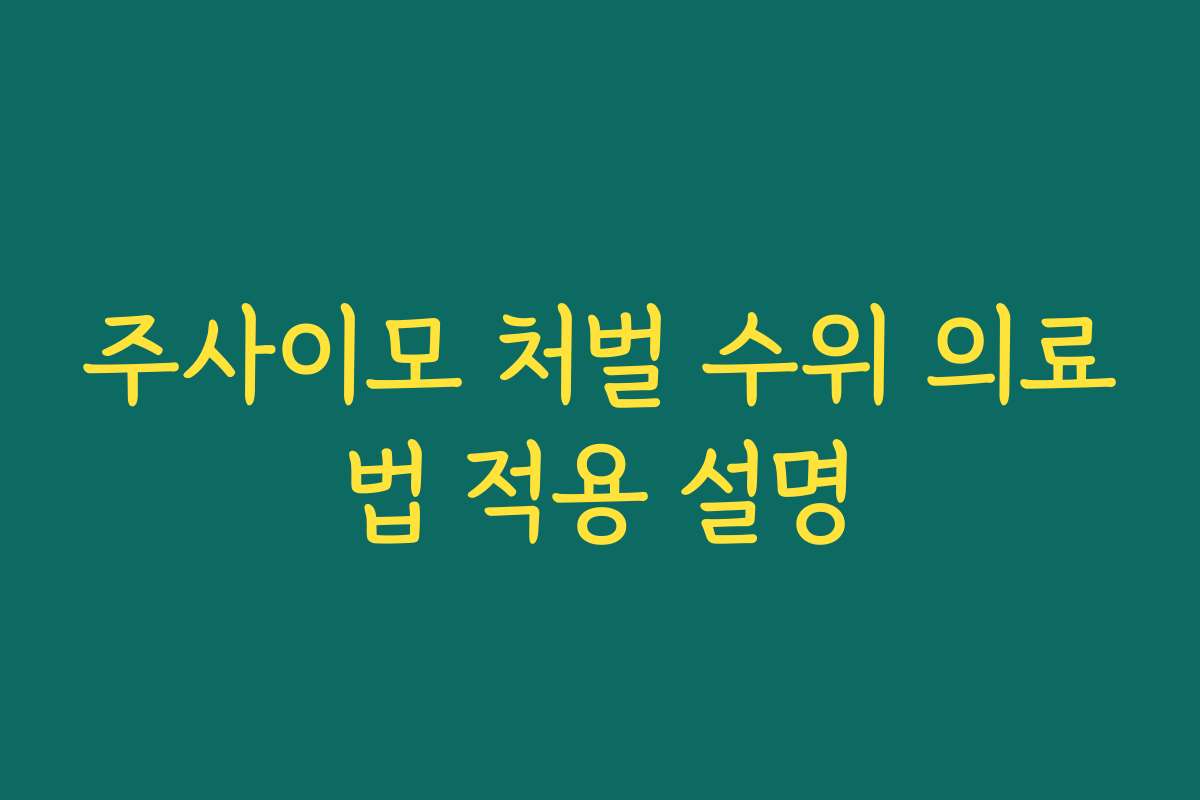 주사이모 처벌 수위 의료법 적용 설명