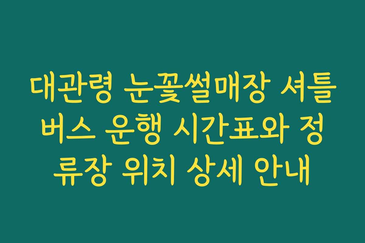 대관령 눈꽃썰매장 셔틀버스 운행 시간표와 정류장 위치 상세 안내