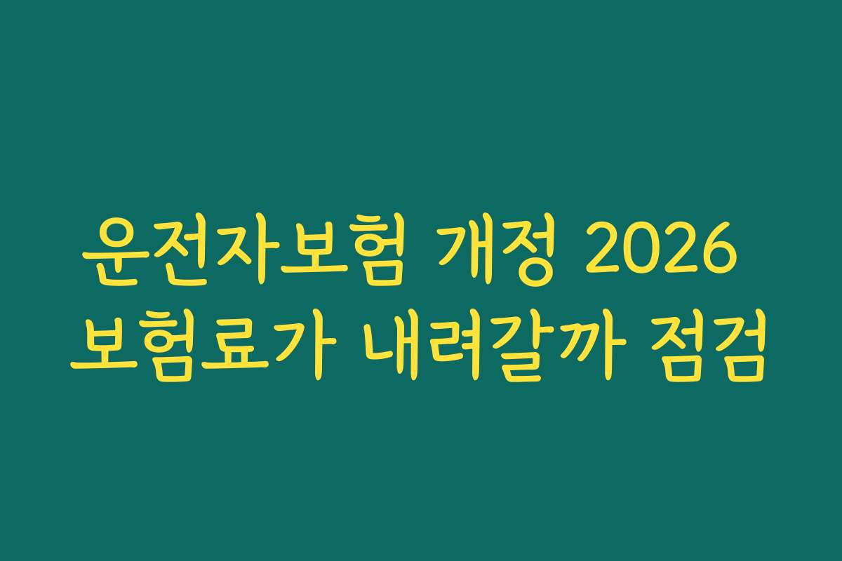 운전자보험 개정 2026 보험료가 내려갈까 점검