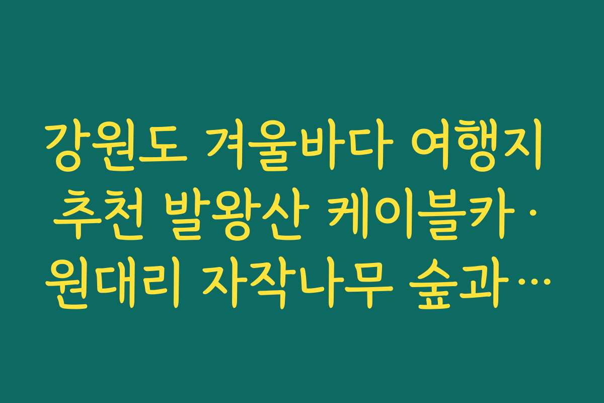 강원도 겨울바다 여행지 추천 발왕산 케이블카·원대리 자작나무 숲과 동해안 연계 루트