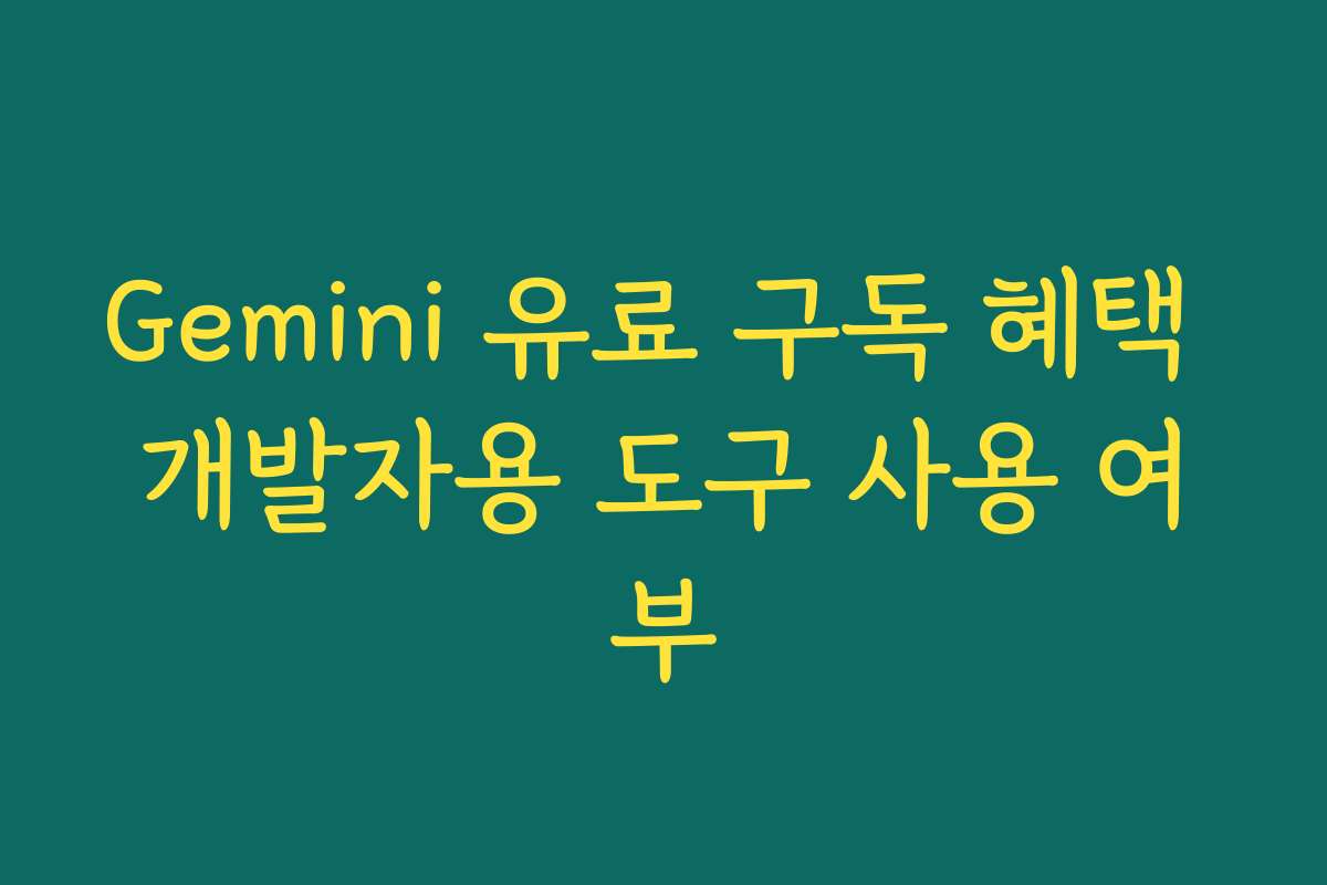 Gemini 유료 구독 혜택 개발자용 도구 사용 여부