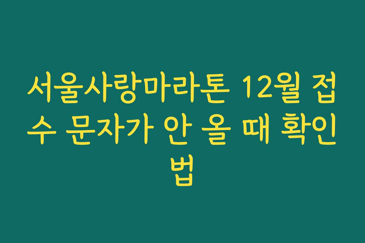 서울사랑마라톤 12월 접수 문자가 안 올 때 확인법