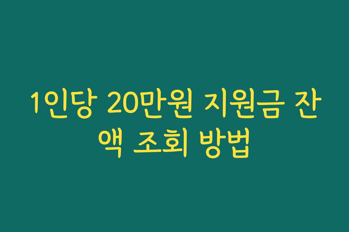1인당 20만원 지원금 잔액 조회 방법