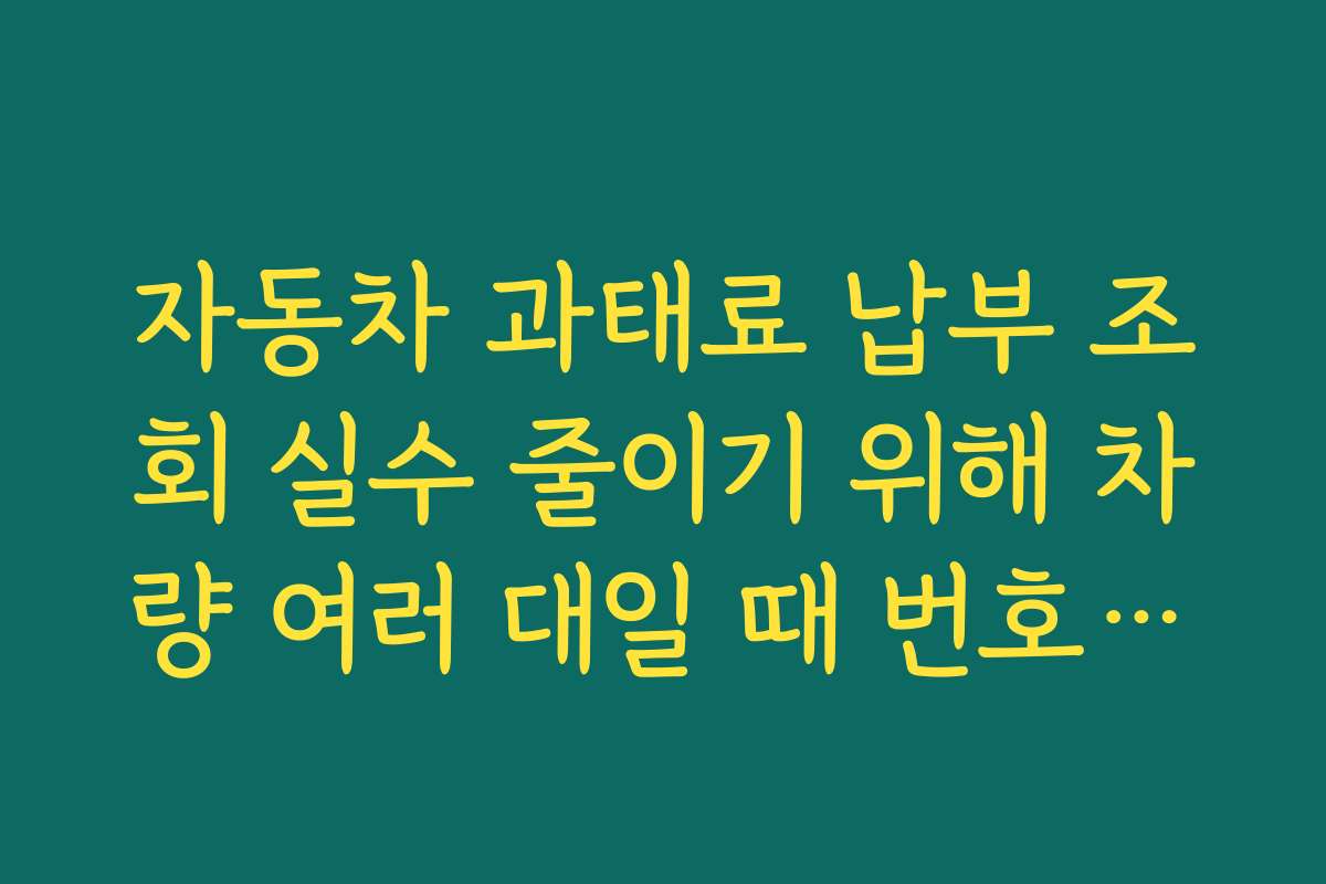 자동차 과태료 납부 조회 실수 줄이기 위해 차량 여러 대일 때 번호별로 태그 관리하는 방법