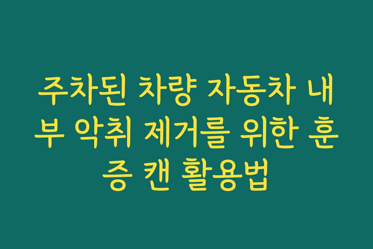 주차된 차량 자동차 내부 악취 제거를 위한 훈증 캔 활용법