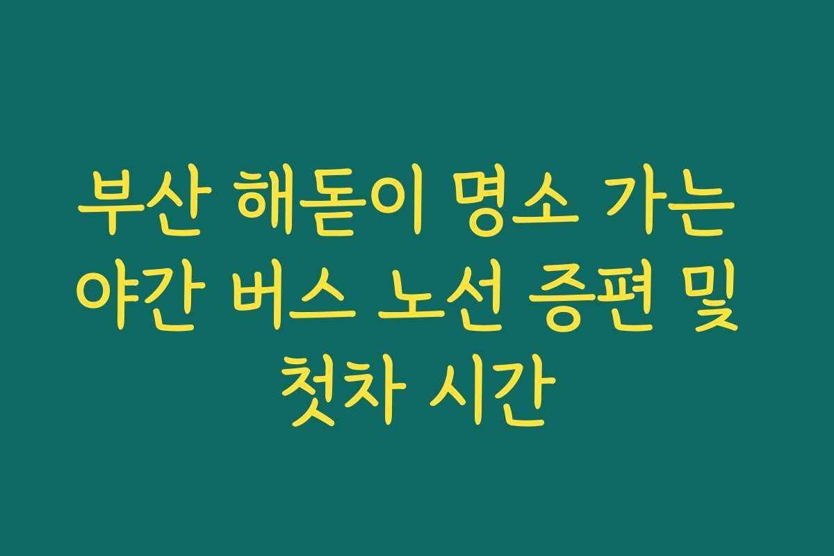 부산 해돋이 명소 가는 야간 버스 노선 증편 및 첫차 시간