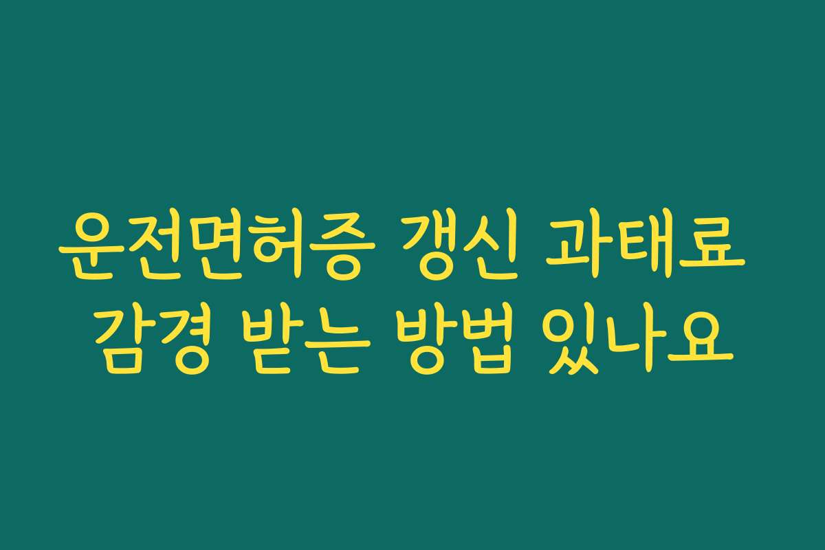 운전면허증 갱신 과태료 감경 받는 방법 있나요