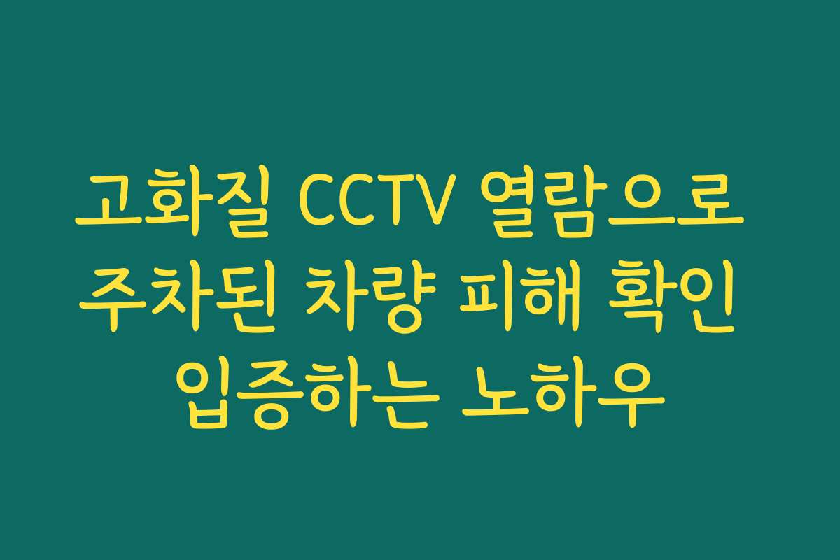 고화질 CCTV 열람으로 주차된 차량 피해 확인 입증하는 노하우