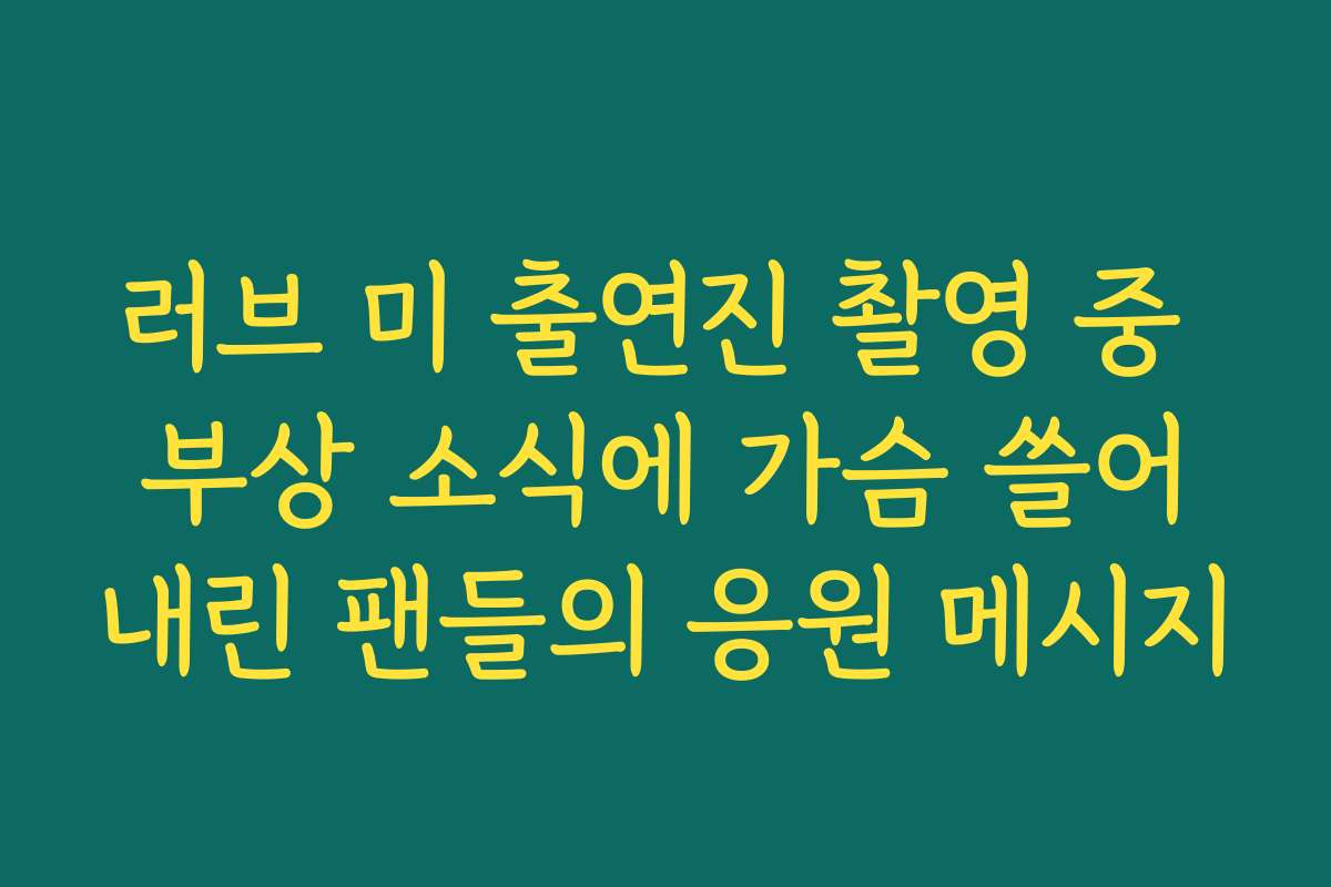 러브 미 출연진 촬영 중 부상 소식에 가슴 쓸어내린 팬들의 응원 메시지