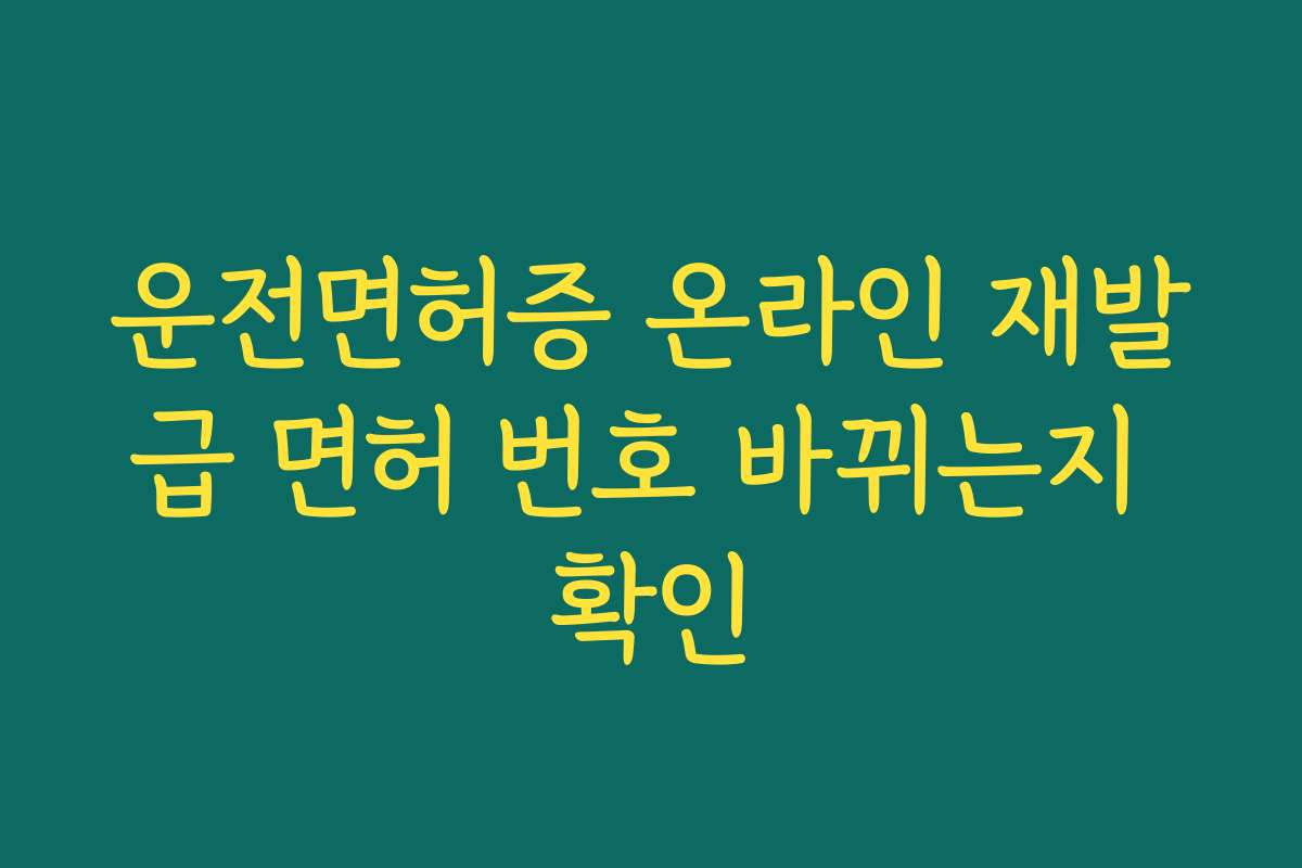 운전면허증 온라인 재발급 면허 번호 바뀌는지 확인