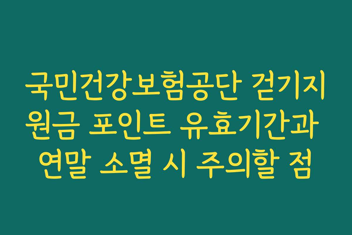 국민건강보험공단 걷기지원금 포인트 유효기간과 연말 소멸 시 주의할 점