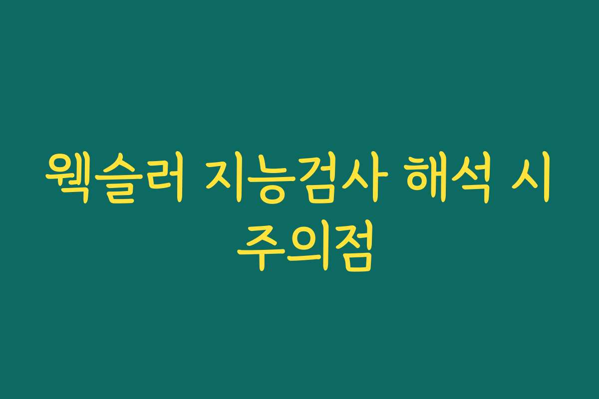 웩슬러 지능검사 해석 시 주의점