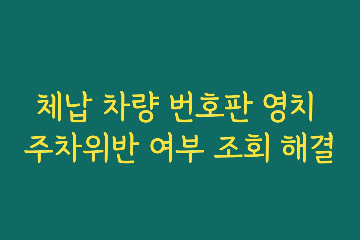 체납 차량 번호판 영치 주차위반 여부 조회 해결