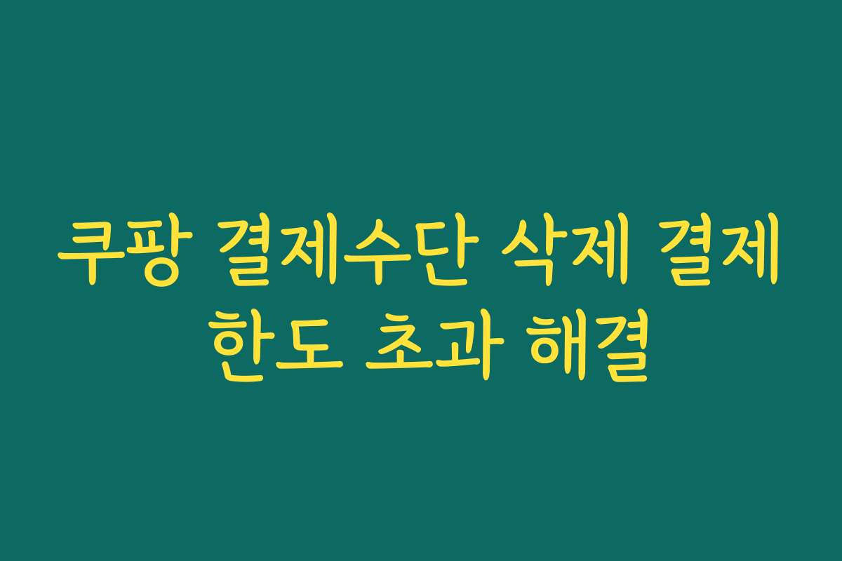 쿠팡 결제수단 삭제 결제 한도 초과 해결