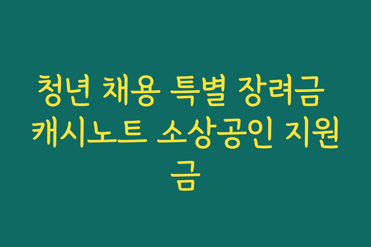 청년 채용 특별 장려금 캐시노트 소상공인 지원금
