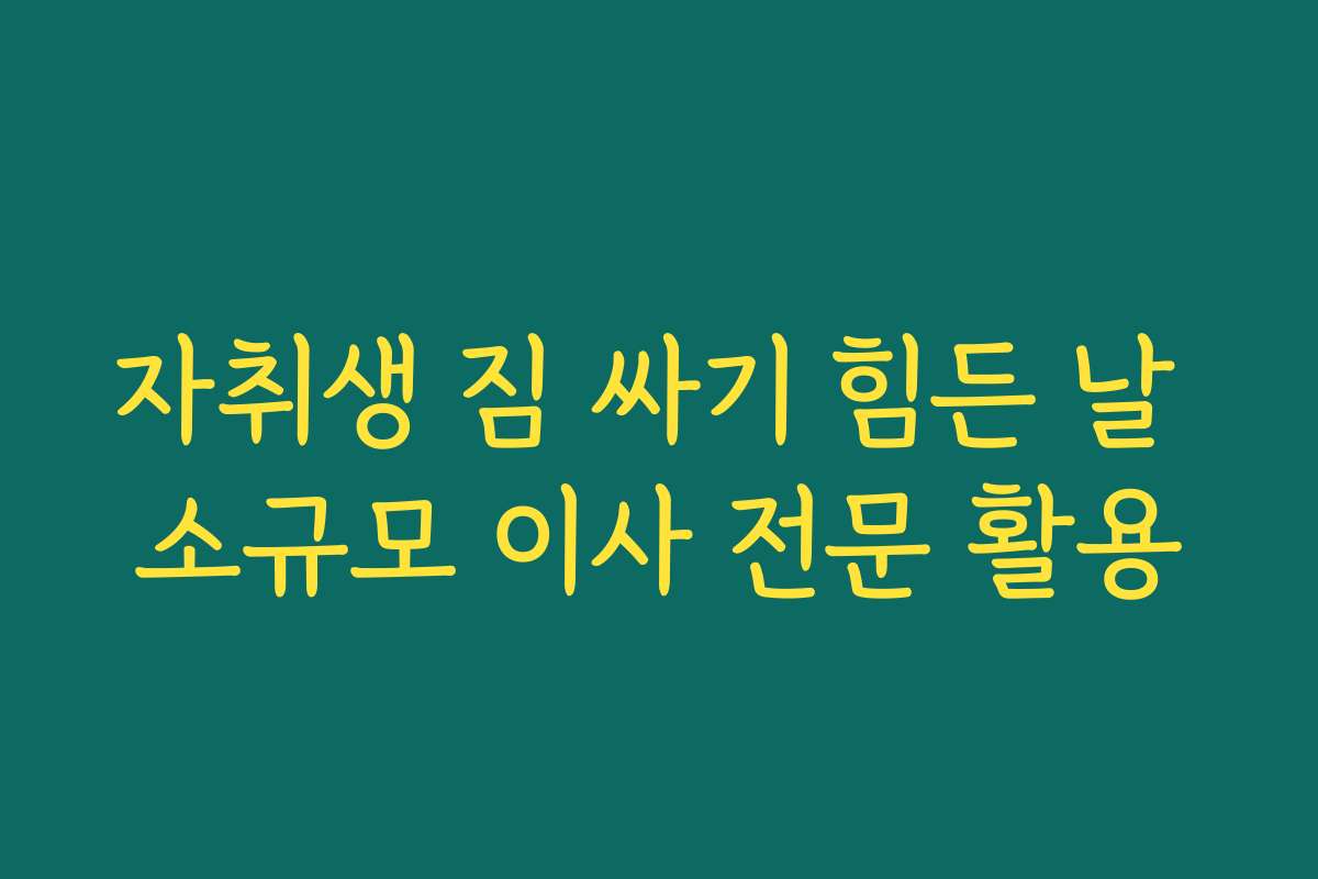 자취생 짐 싸기 힘든 날 소규모 이사 전문 활용