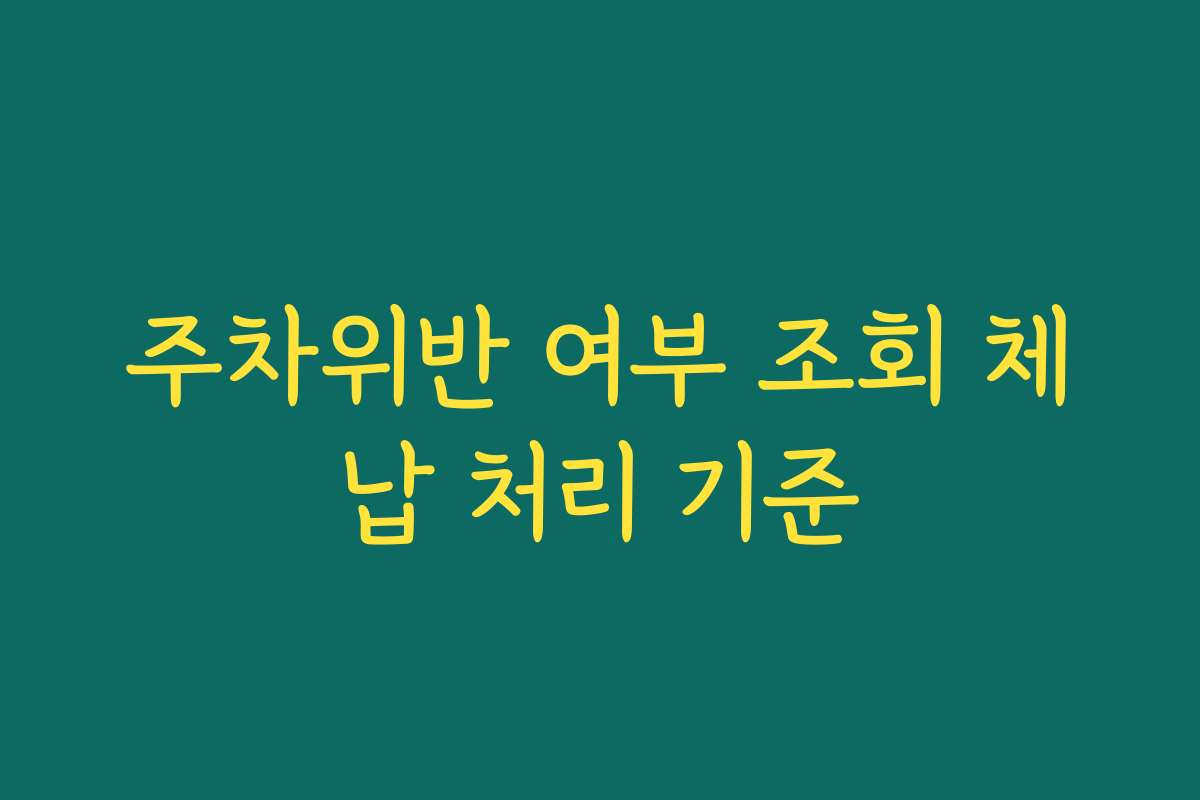 주차위반 여부 조회 체납 처리 기준