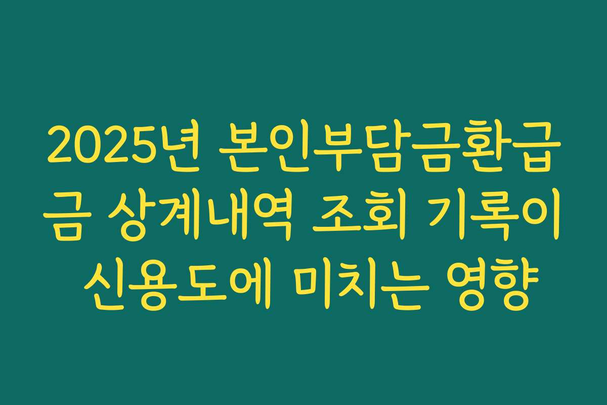 2025년 본인부담금환급금 상계내역 조회 기록이 신용도에 미치는 영향
