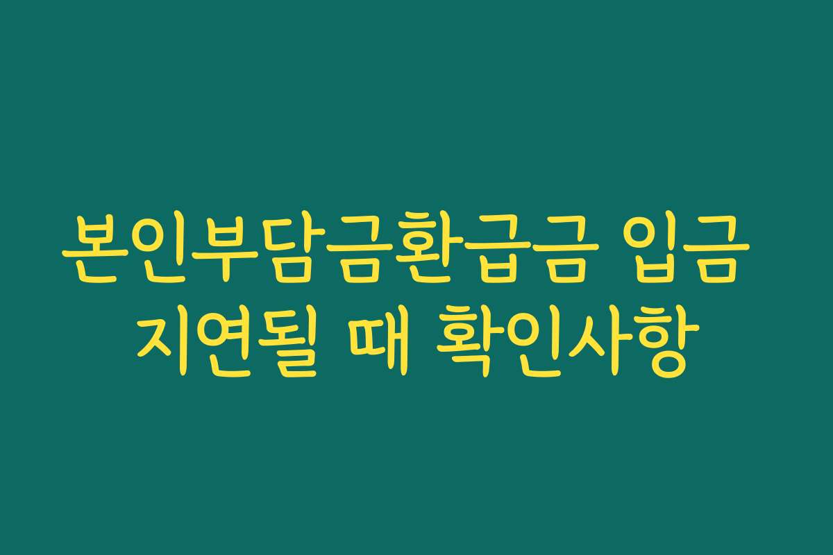 본인부담금환급금 입금 지연될 때 확인사항